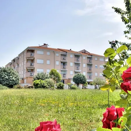 شقة Vale Near The - Stella Maris أوماغ